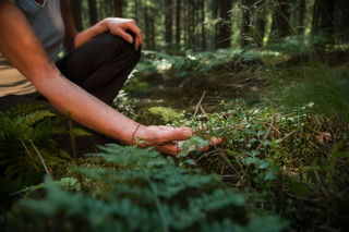 Kniende Frau berührt Waldboden