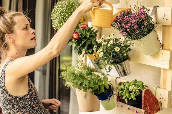 Erenja: Spiel der Jahreszeiten: Wann muss ich welche Blumen pflanzen